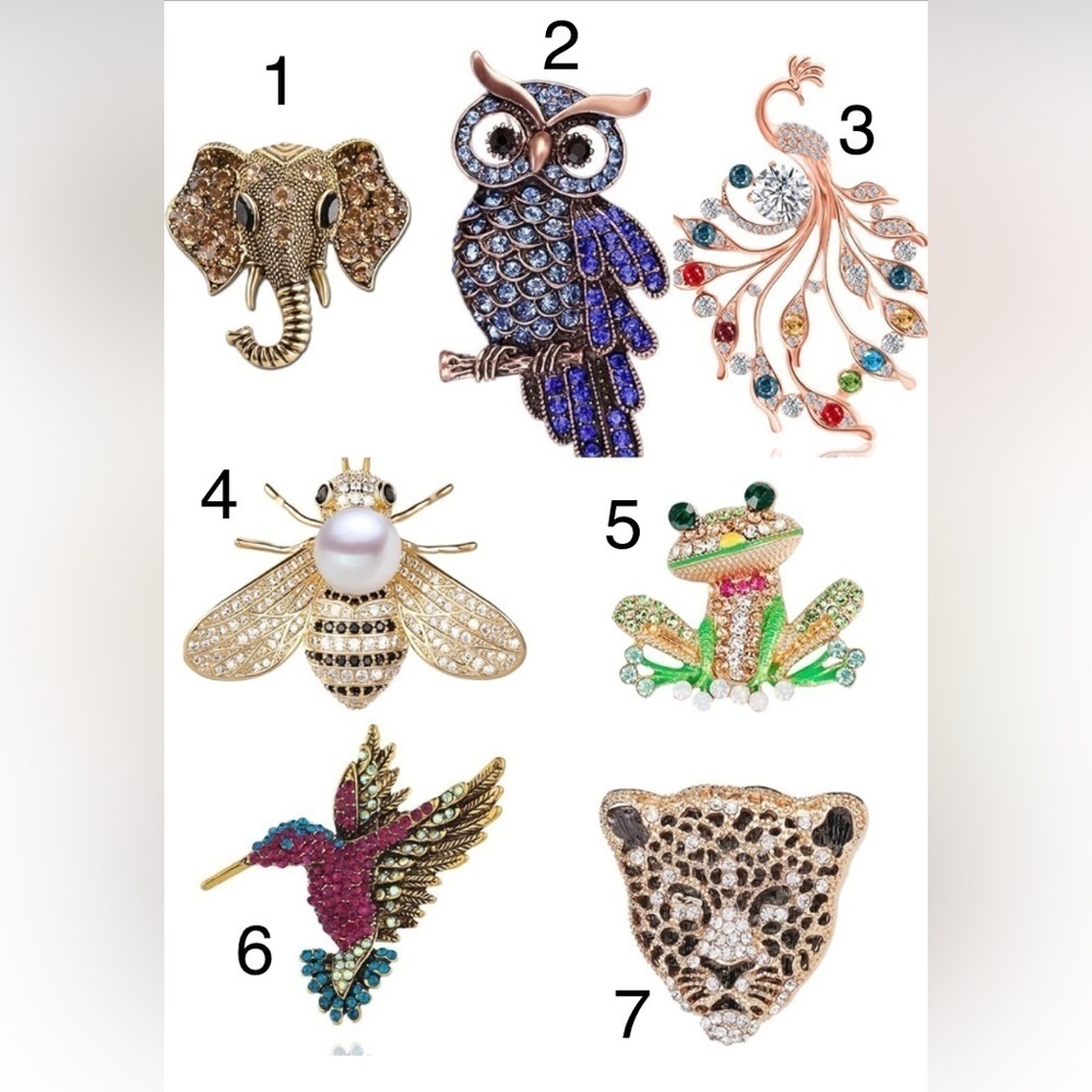 Choose Your Pin
